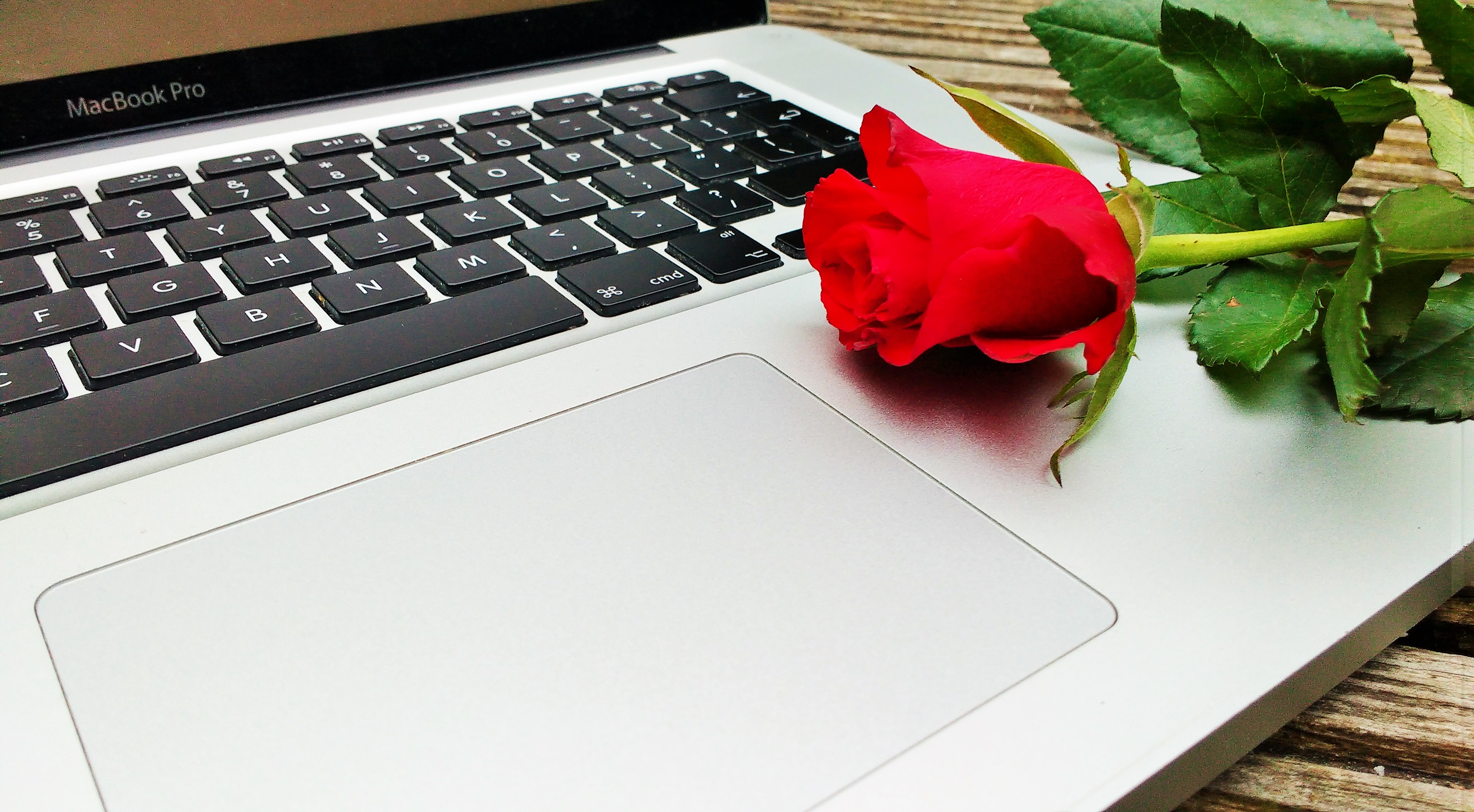 11 digital technology tips for parents - red rose resting on a laptop