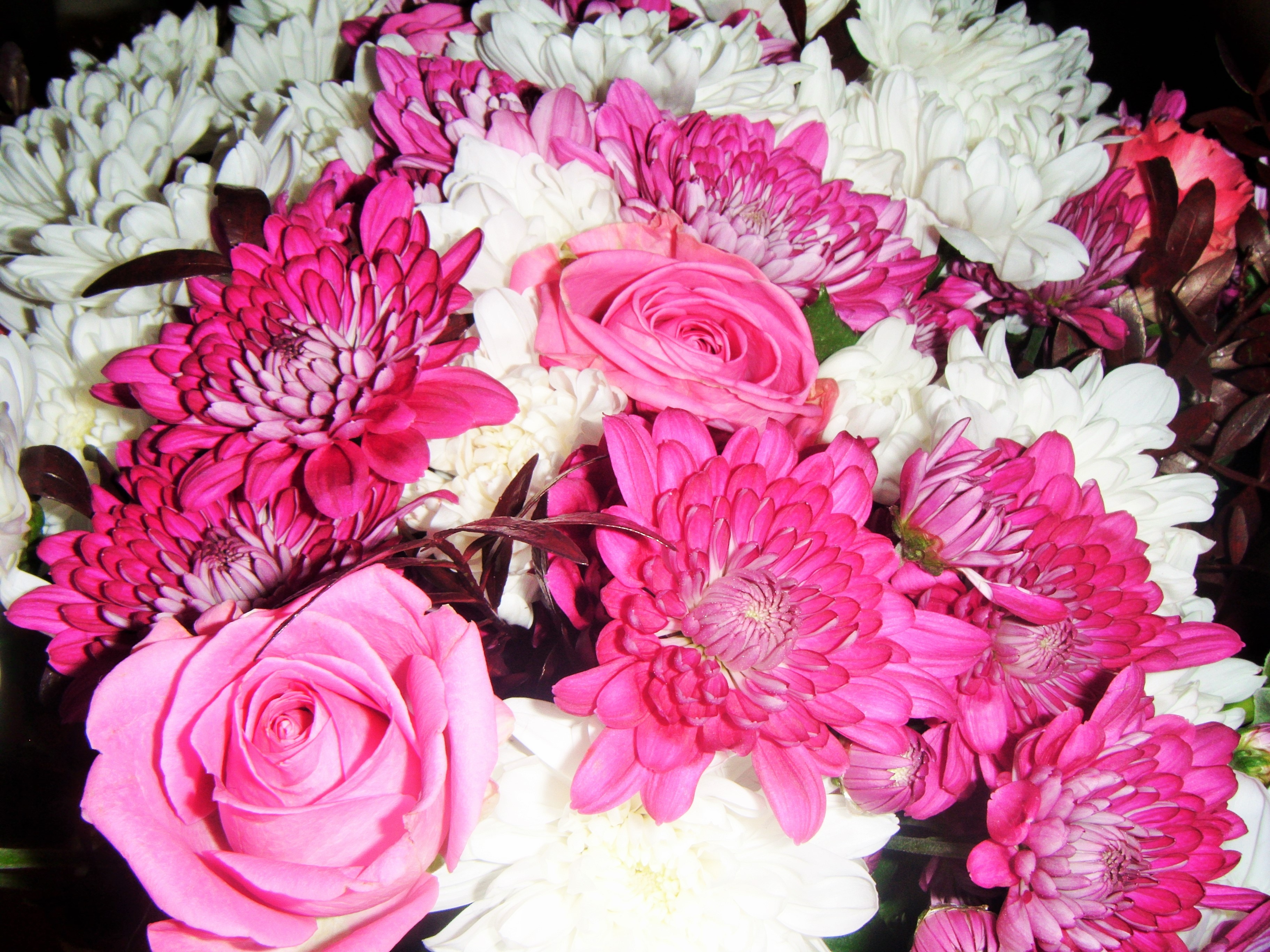 Grandma pink flowers blogcrush week 32
