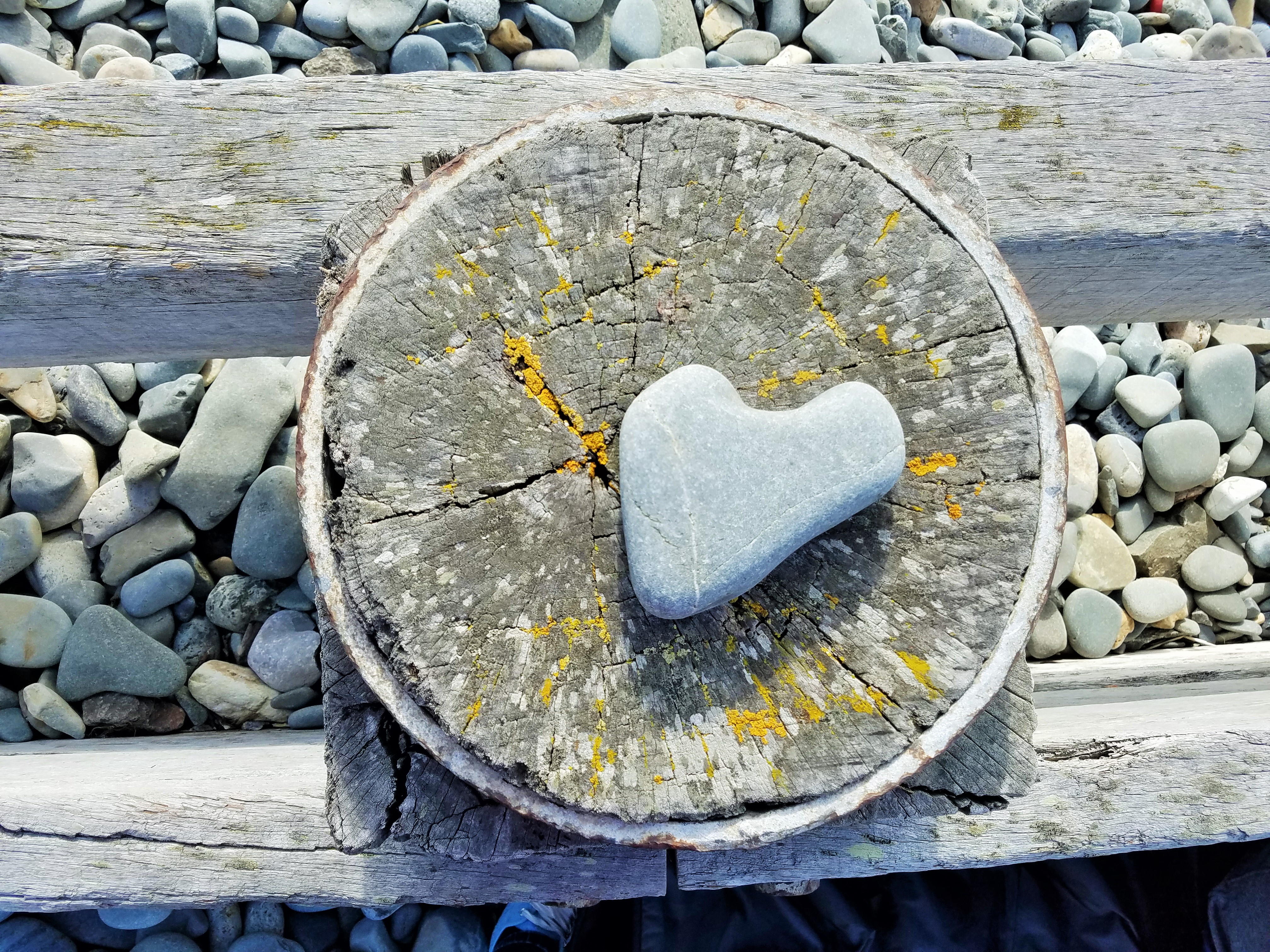 Sensitive heart rock on a wooden circle - love is an action