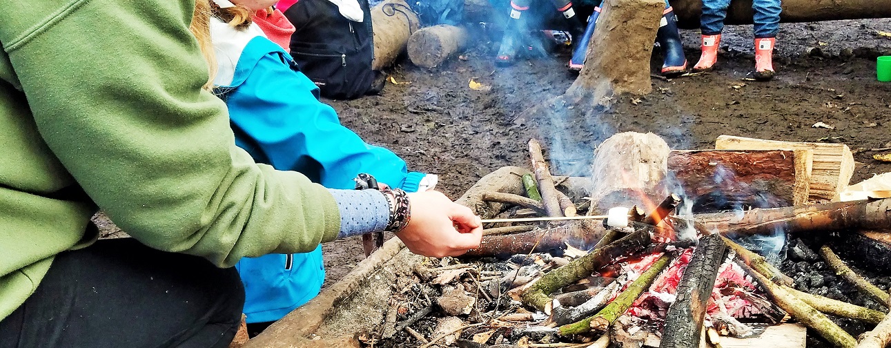 Grass & Air roasting marshmallows on a campfire