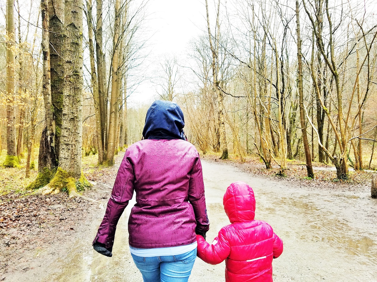 Don't Fall For This Happy Mum Scam - mother holding hands with child in a forest