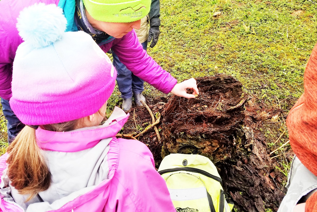 Forest School with KC Life Fit in Yorkshire Dales - finding discarded nut shells