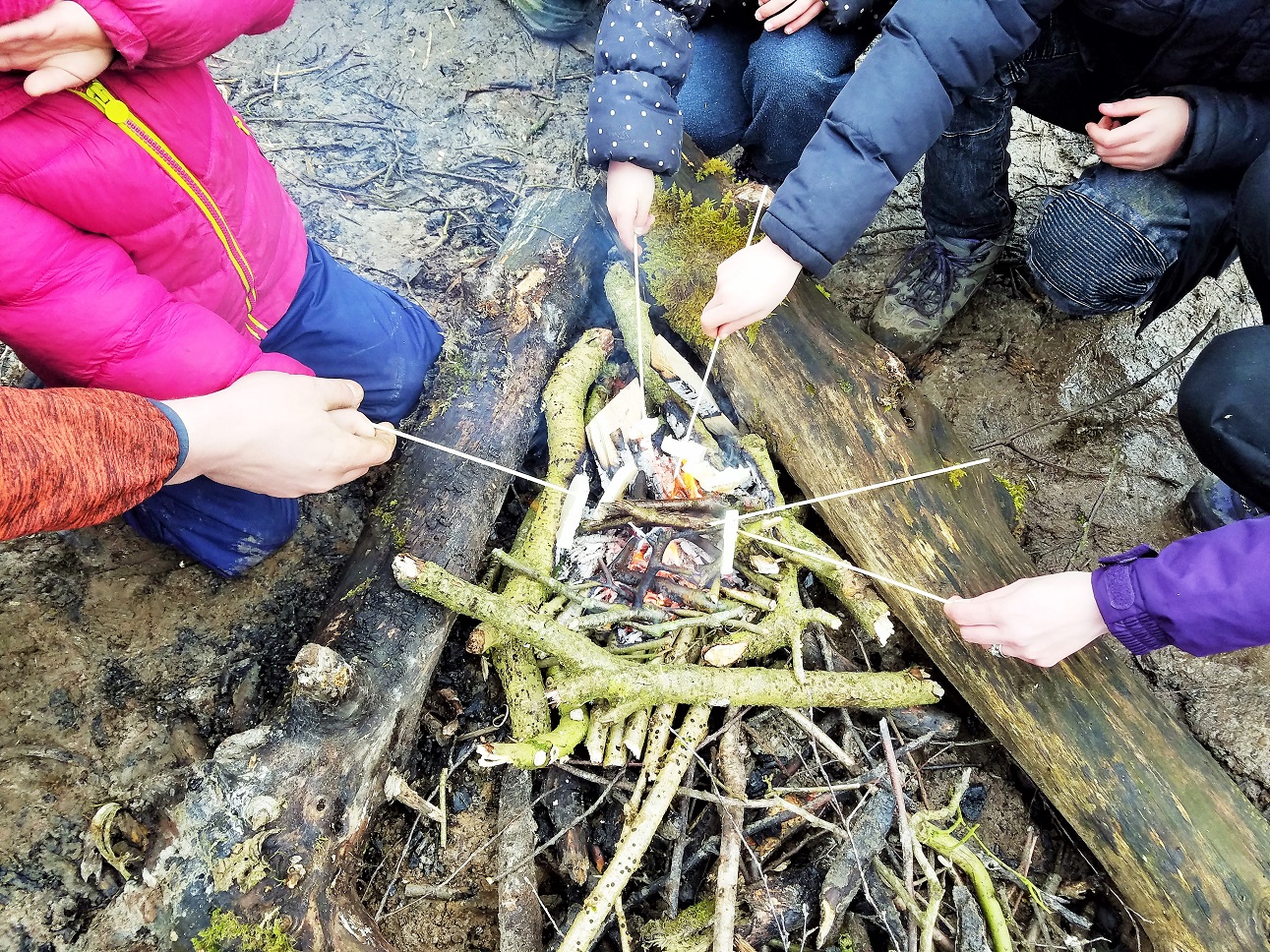 Campfire cooking at the Yorkshire Dales National Park - halloumi cheese - Kids' Party Ideas