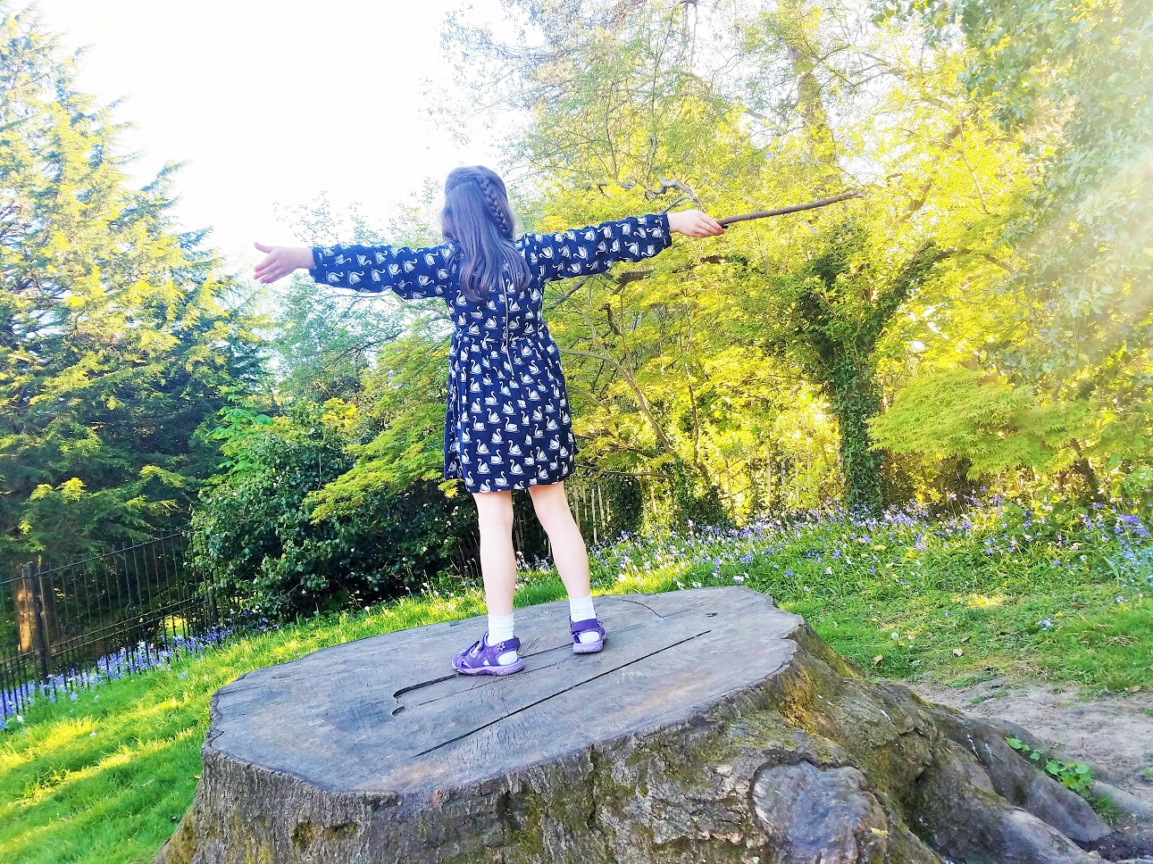 practical ways to deal with a playground spat - child in navy blue dress standing on large tree stump - BlogCrush Week 73