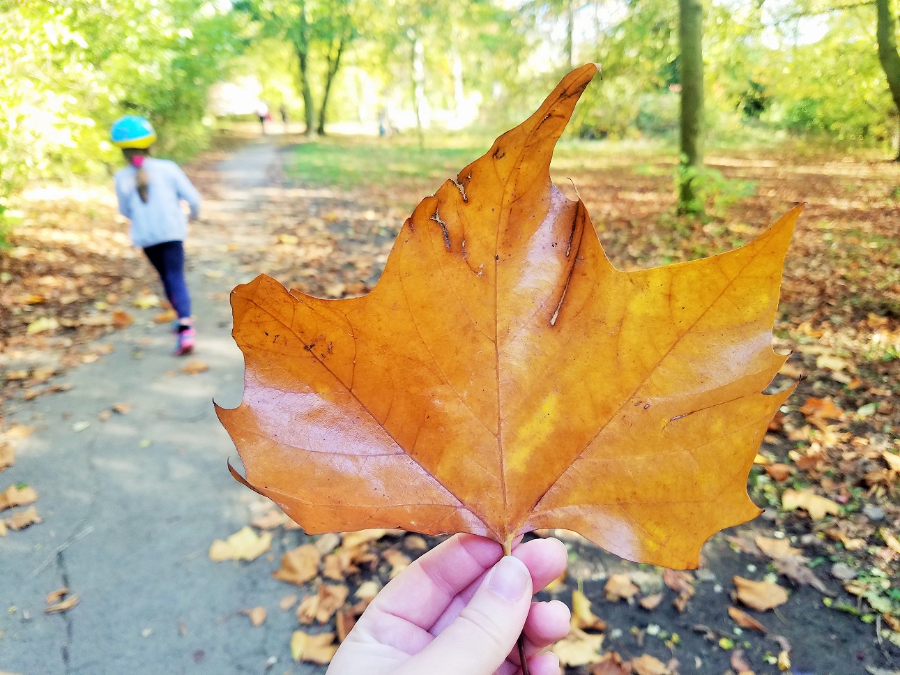 gentle parenting and treating children like adults - orange autumn leaf and child in background - blogcrush week 92