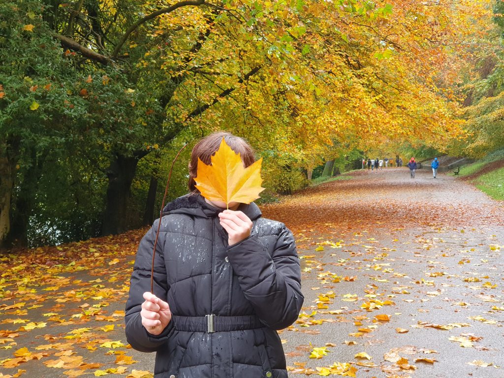 A teenager holding a large autumn leaf over their face with yellow trees in the background